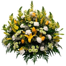 Centro Verde y Amarillo “Esperanza” MA-32