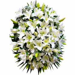 Palma de Lilium Blanco y Paniculata "Consuelo" MC38