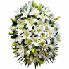 Palma de Lilium Blanco y Paniculata "Consuelo" MC38