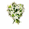 Formatos Especiales MF-1. Arreglos florales especiales fúnebres, corazones de flores, cruces con flores, escudos florales.