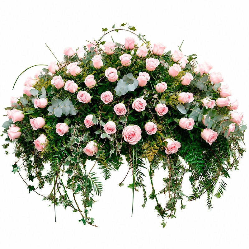 Almohadón de Cinco Docenas de Rosas “Tributo” MA-30