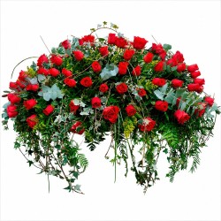 Almohadón de Cinco Docenas de Rosas “Tributo” MA-30