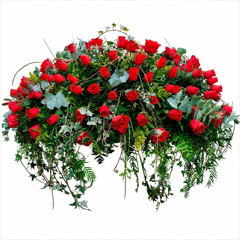 Almohadón de Cinco Docenas de Rosas “Tributo” MA-30