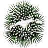 Corona de Flores MC-30. Envío urgente de coronas de flores a tanatorios en Madrid.