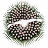 Corona de Flores MC-30. Envío urgente de coronas de flores a tanatorios en Madrid.