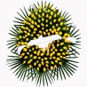 Corona de Flores MC-30. Envío urgente de coronas de flores a tanatorios en Madrid.